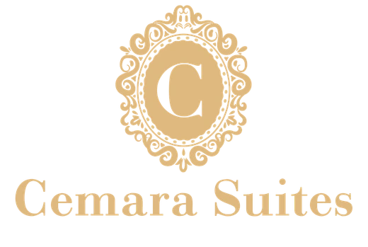 Logo Brand 2008